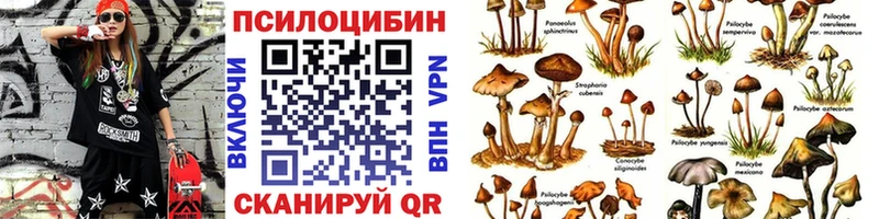 продажа наркотиков сайты даркнета как зайти Псилоцибиновые грибы мухоморы Среднеколымск